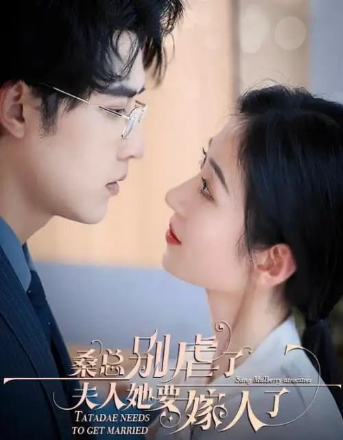 沉默的证词 悬疑电视剧全集在线观看